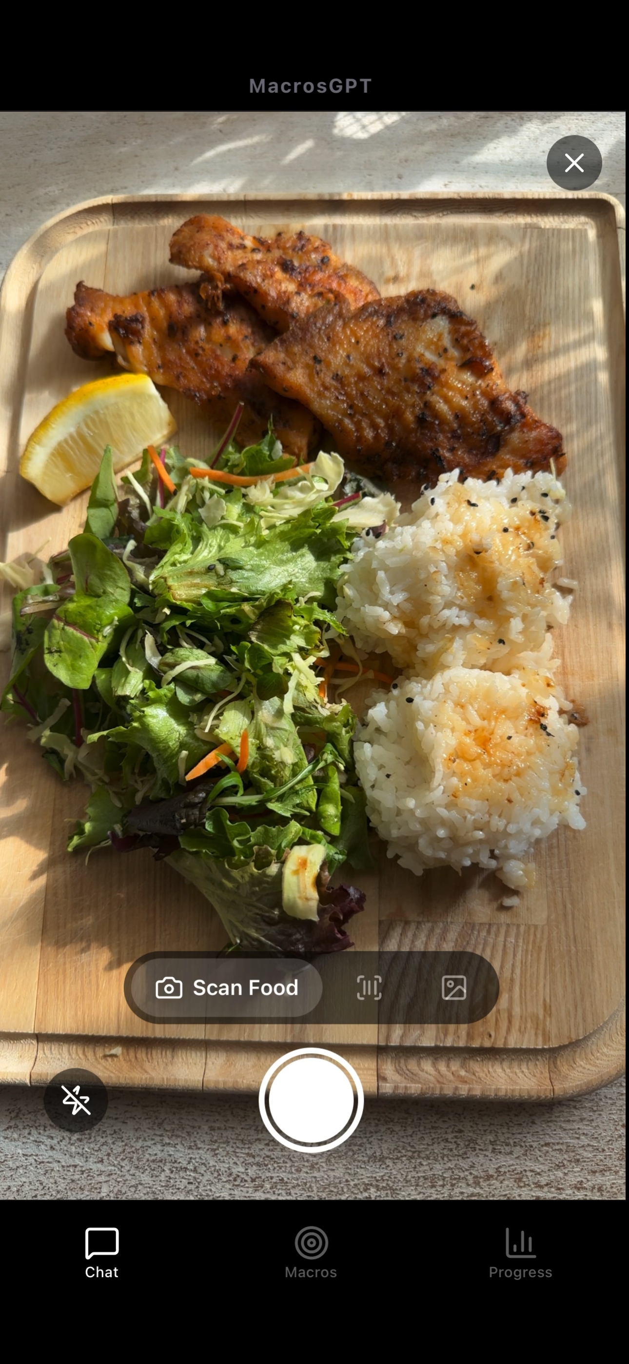 MacrosGPT camera scanning a meal